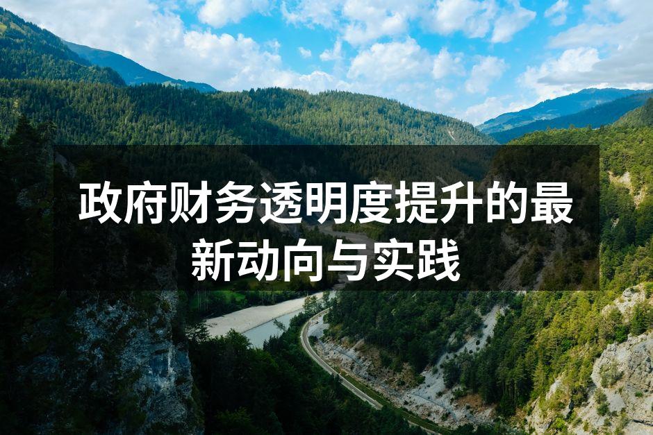 政府财务透明度提升的最新动向与实践