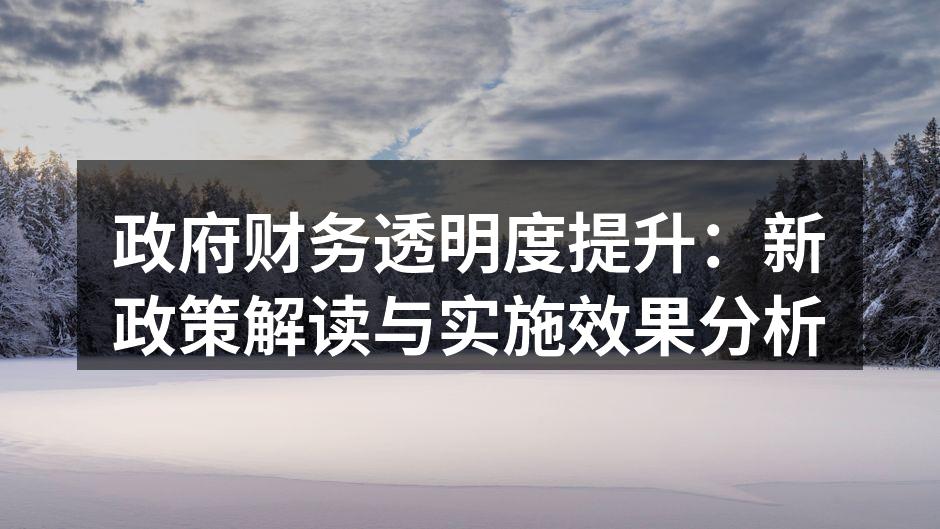 政府财务透明度提升：新政策解读与实施效果