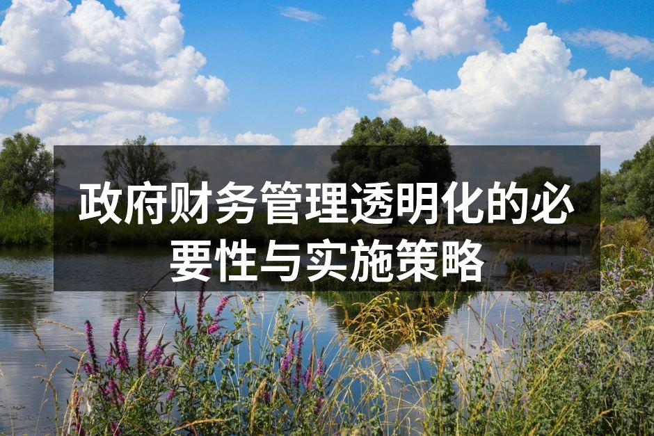 政府财务管理透明化的必要性与实施策略